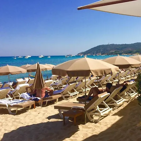 Gulf Stream لي إيسامبر